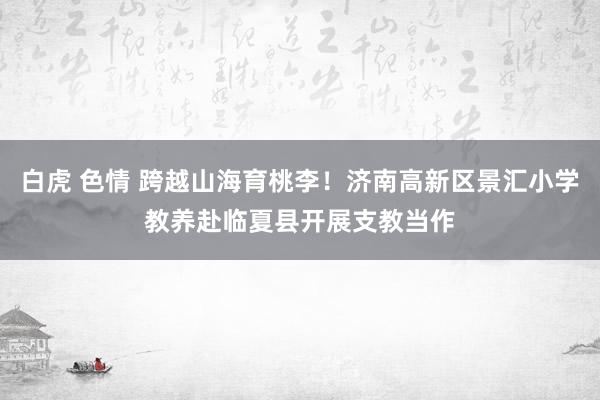 白虎 色情 跨越山海育桃李！济南高新区景汇小学教养赴临夏县开展支教当作