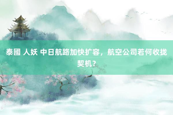 泰國 人妖 中日航路加快扩容，航空公司若何收拢契机？