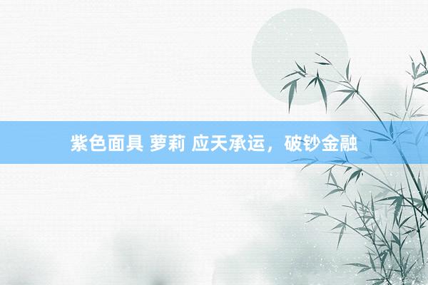 紫色面具 萝莉 应天承运，破钞金融