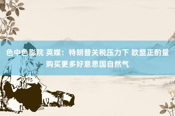 色中色影院 英媒：特朗普关税压力下 欧盟正酌量购买更多好意思国自然气