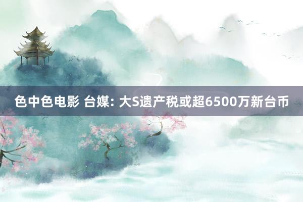 色中色电影 台媒: 大S遗产税或超6500万新台币